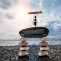 语﻿义﻿网﻿络﻿说​